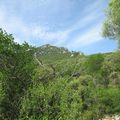 Pic St Loup par St Mathieu de Tréviers - 10 Septembre 2015