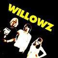 The Willowz