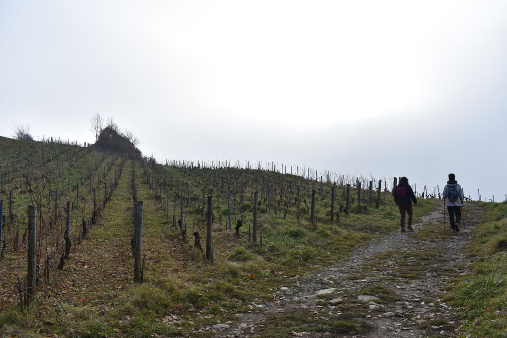Balade dans les vignes de Chignin (73)