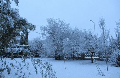 Il a neigé... hiver en poésie