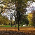 ... automne au parc...