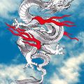 °Oo Dragon Chinois by Einonne oO°