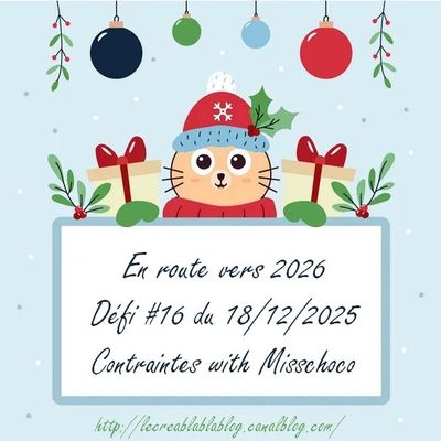 En route vers 2026 avec le CBBB - Défi #16 contraintes avec Misschoco