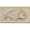 Sinibaldo Scorza (1589 - 1631), A Guinea Pig. 