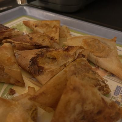 Bricks à la viande 