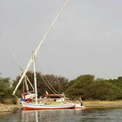 Egypte 2018 - Jour7 - Adieu la Felouque, Temple de Philae, retour à Louxor