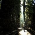 Journée nature, à la découverte des paysages