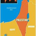 Reconnaissance d'un Etat palestinien à côté d'Israël ou un seul Etat en Palestine historique ?