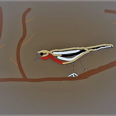 Petit oiseau malade ?