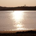 Un soir d'été à la plage ...