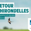 Suivez en direct le retour des hirondelles !