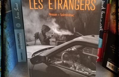 Les étrangers- Éric Pessan et Olivier de Solminihac