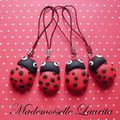 Coccinelles....