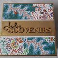 Mini album