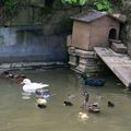 Surprise du matin: des coureurs indiens