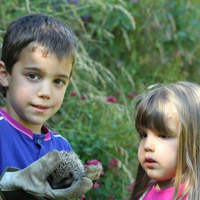 Surprise dans le jardin