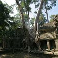 Les points chauds du globe... Le Cambodge