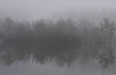 Marais Mouillé (3)