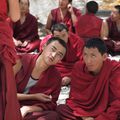 Tibet, moines boudhistes