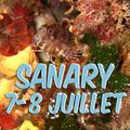 Sanary juillet 07