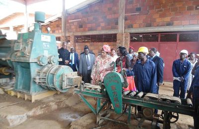 Le Minresi visite l'usine du Mipromalo à Nkolbisson 