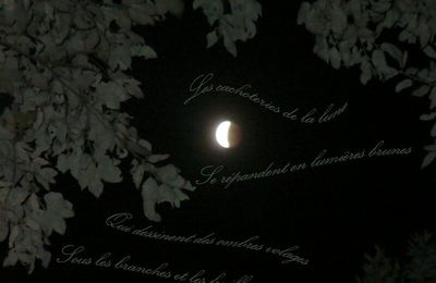 Eclipse de lune