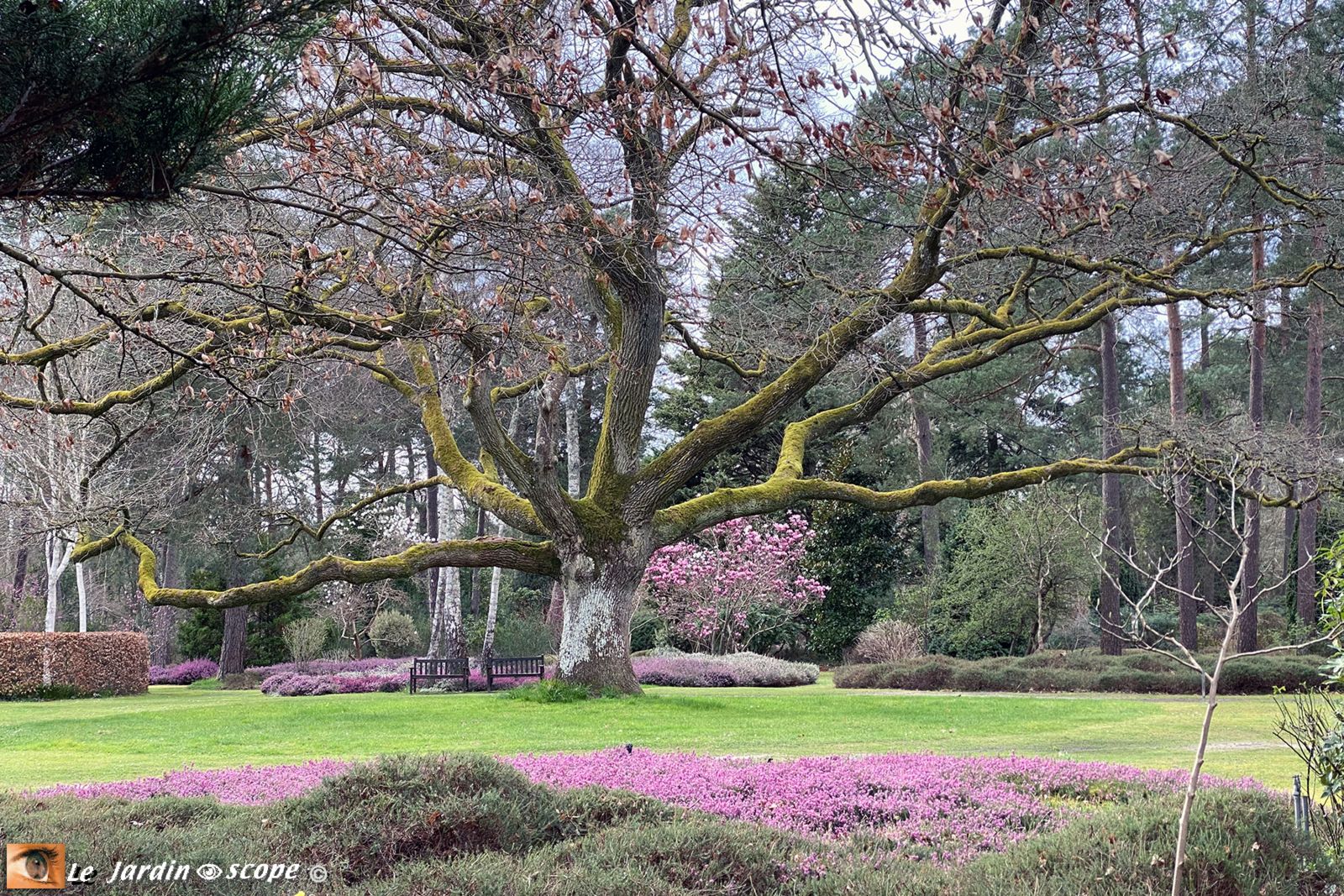 Arboretum Grandes Bruyères