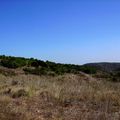 Garrigue et Île de Sainte-Lucie