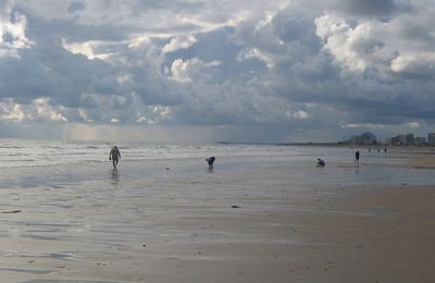 Sur la plage adandonnée, strandgut et boîte percée...