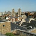 Dublin Roof View