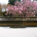 LE JARDIN DU RYOAN JI, KYOTO, JAPON