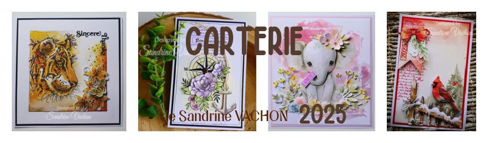 Carterie de Sandrine VACHON