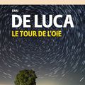 Le tour de l'oie