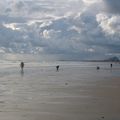 Sur la plage adandonnée, strandgut et boîte percée...