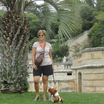 2014 - IPOP participe aux vacances