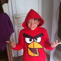 Angry bird!!!