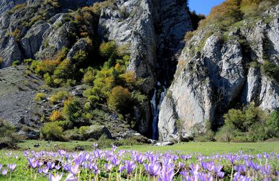 LE PLATEAU DE SANCHESE (64)