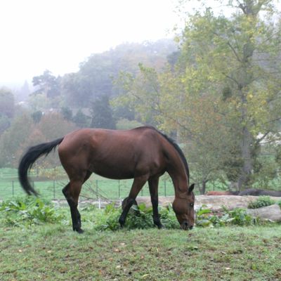 De Massy-Verrières à Jouy-en-Josas