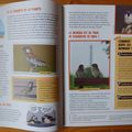 L'Oiseau Mag Junior du printemps 2018 + TIRAGE AU SORT !