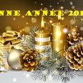 BONNE ANNEE 2015