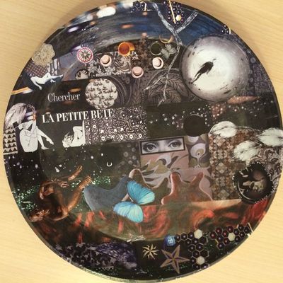 COUPE : Chercher la petite bête !