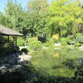 Jardin Japonais