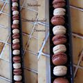 Macarons "maison"