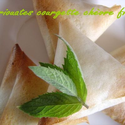 BRIOUATES COURGETTE CHEVRE