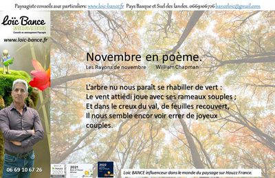 👨‍🌾 Novembre en poème par Paysagiste Pays Basque et Paysagiste Landes.2022.