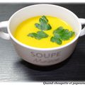 VELOUTE CAROTTES-PANAIS AU TM OU PAS ...