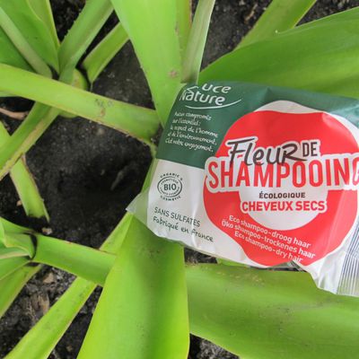 Le shampooing solide : J'ai testé !