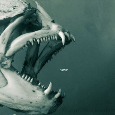 Le Rugissement de la Carpe