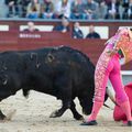 Vicente SOLER coupe la première oreille de la temporada Madriléne