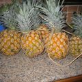 Ananas